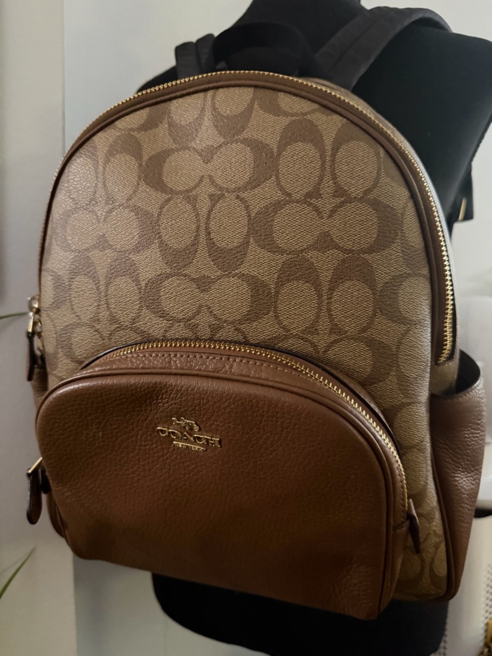 Coach Court Signature Backpack - Picture 15 of 16